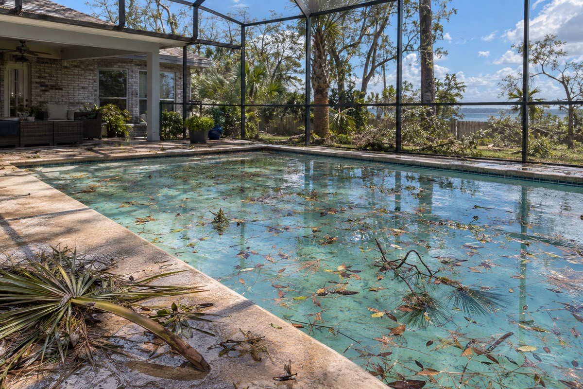 A pool after a storm with debris on the surface